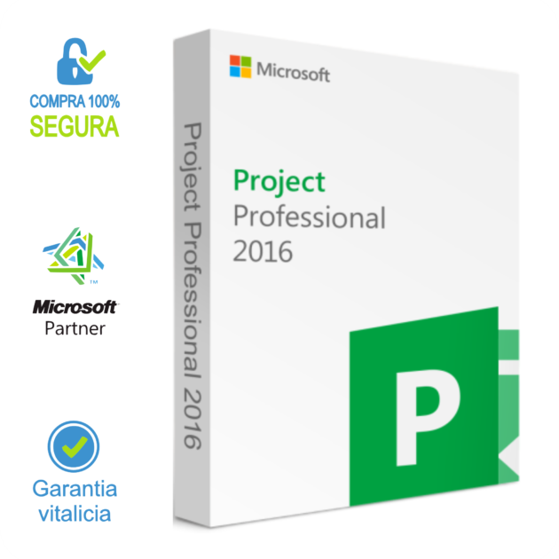 Project Professional 2016 1PC