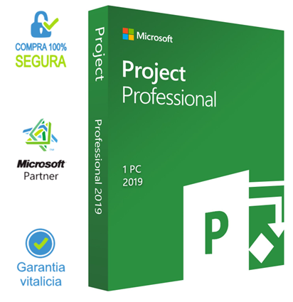 Project Professional 2019 1 User